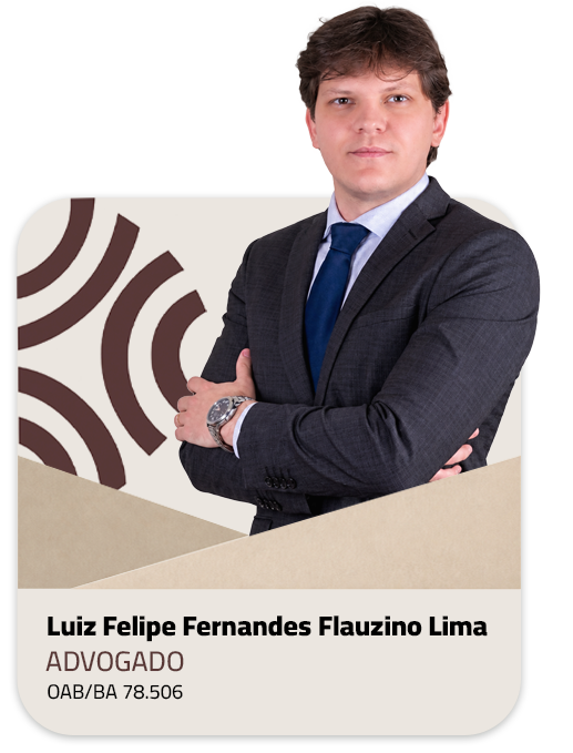 Card de Luiz Felipe Fernandes Flauzino Lima